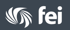 FEIlogo 1
